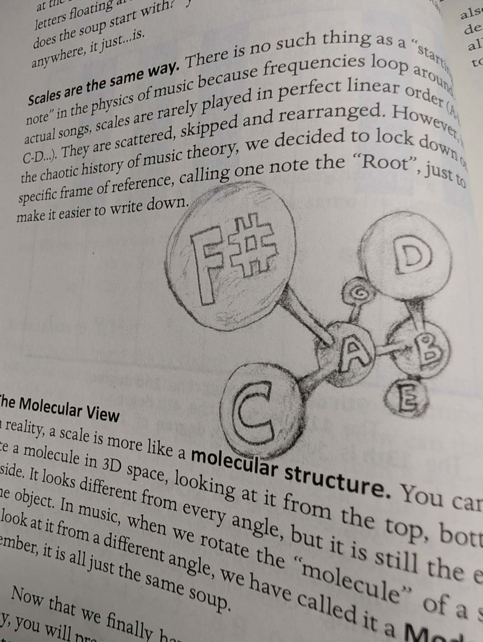 Molecular View of Scales